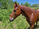 photo thumbnail #10