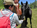 photo thumbnail #11