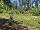 photo thumbnail #15