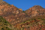 photo thumbnail #1