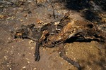 photo thumbnail #14