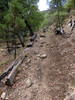 photo thumbnail #9
