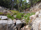 photo thumbnail #10