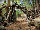 photo thumbnail #11