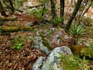 photo thumbnail #15