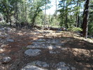photo thumbnail #1