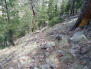 photo thumbnail #5