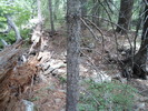 photo thumbnail #6