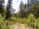 photo thumbnail #8