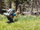 photo thumbnail #2