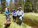 photo thumbnail #5