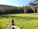 photo thumbnail #14