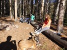 photo thumbnail #15