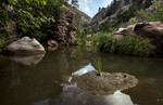 photo thumbnail #4