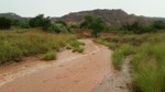photo thumbnail #8