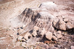 photo thumbnail #7