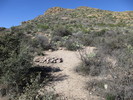 photo thumbnail #13