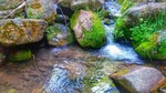 photo thumbnail #8