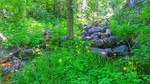 photo thumbnail #9