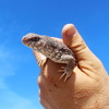 photo thumbnail #5