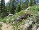 photo thumbnail #3