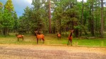photo thumbnail #2