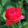 photo thumbnail #13
