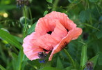 photo thumbnail #14