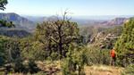 photo thumbnail #2