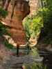 photo thumbnail #8