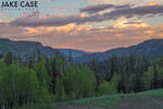 photo thumbnail #10
