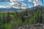 photo thumbnail #8