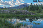 photo thumbnail #9