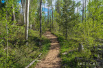 photo thumbnail #6
