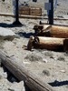 photo thumbnail #3