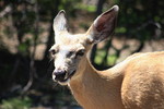 photo thumbnail #10