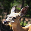 photo thumbnail #8