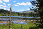 photo thumbnail #12