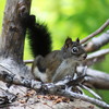 photo thumbnail #14