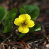 photo thumbnail #15