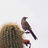 photo thumbnail #7