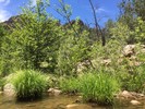 photo thumbnail #3