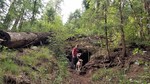 photo thumbnail #3