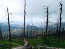 photo thumbnail #2