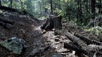 photo thumbnail #2