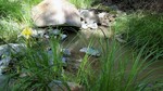 photo thumbnail #12