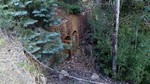 photo thumbnail #14