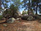 photo thumbnail #14