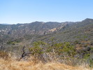 photo thumbnail #6