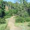 photo thumbnail #10